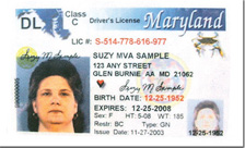 Maryland Driver's License 